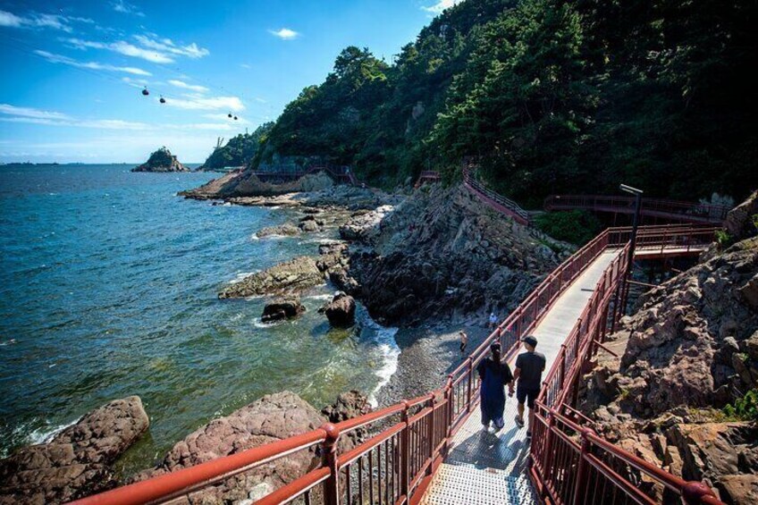 4 days Wellness Tour in Busan