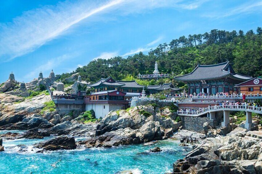 4 days Wellness Tour in Busan