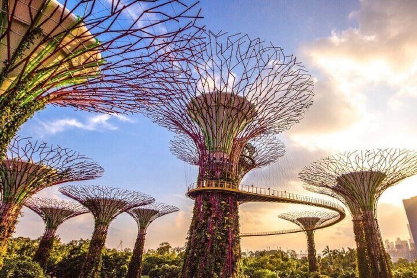 Gardens by the Bay