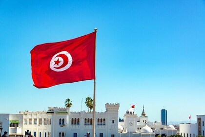Full Day Private Shore Tour in Tunis from La Goulette Cruise Port