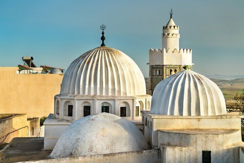 Full Day Private Shore Tour in Tunis from La Goulette Cruise Port