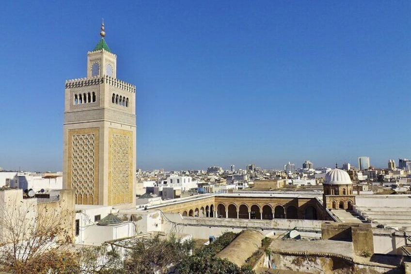 Full Day Private Shore Tour in Tunis from La Goulette Cruise Port