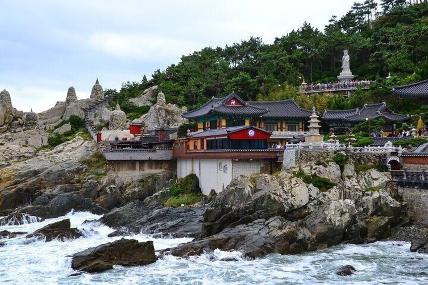 Full Day Private Shore Tour in Busan from Busan Cruise Port
