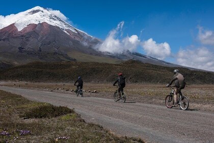 6 Days: Ecuador Multisport Tour