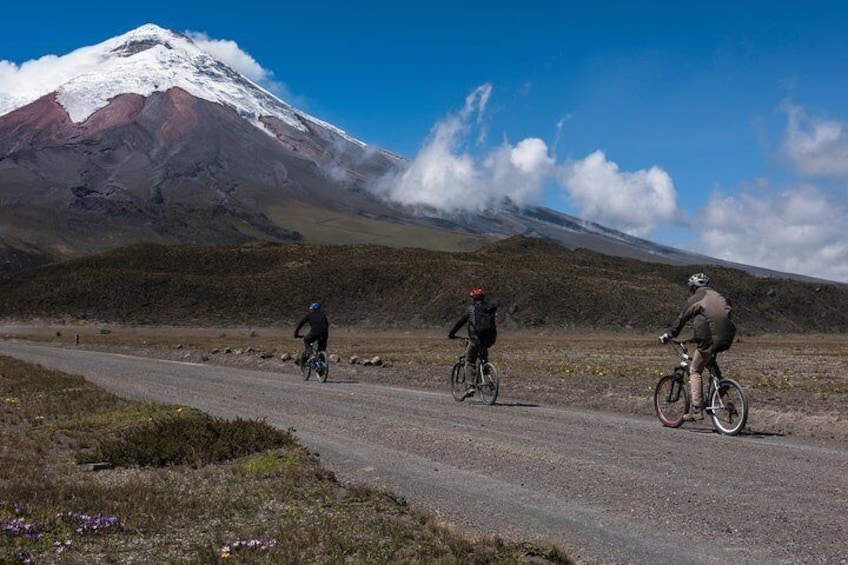 Adventure in Ecuador