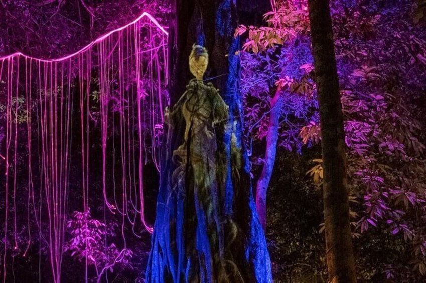 At Dream Forest Langkawi, you'll experience an enchanting, multi-sensory and immersive adventure set in the lush tropical landscape of Langkawi's rainforest