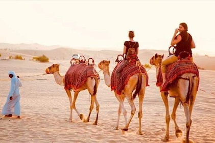 Safari serale nel deserto con cena barbecue e giro in cammello