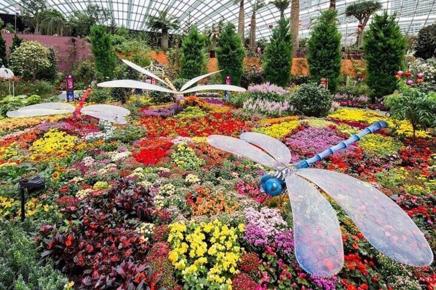 3 Hours Private Tour in Gardens by The Bay and Flower Dome
