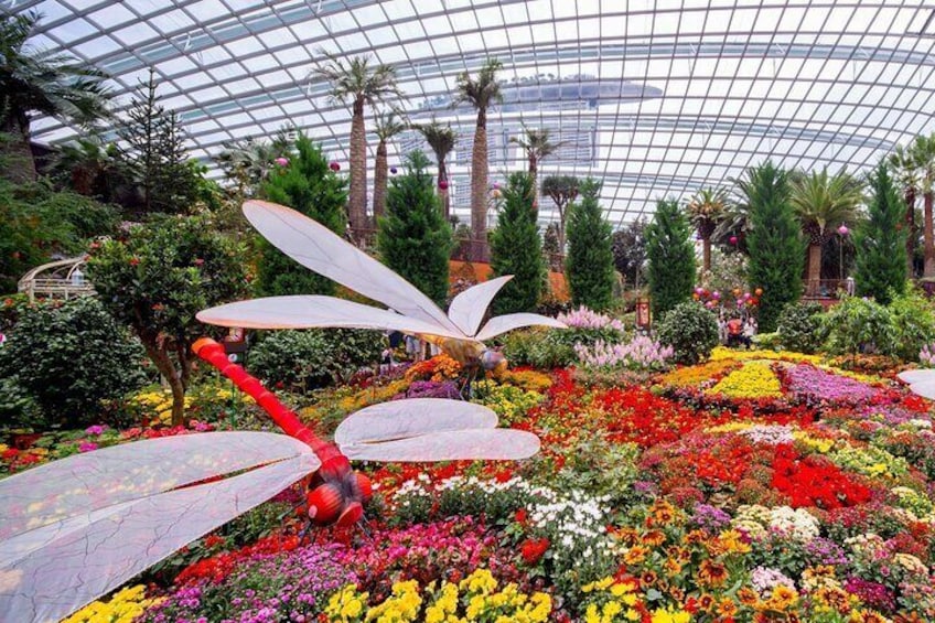 3 Hours Private Tour in Gardens by The Bay and Flower Dome