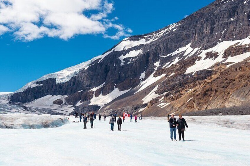 Majestic Icefield Journey: Day Excursion from Calgary
