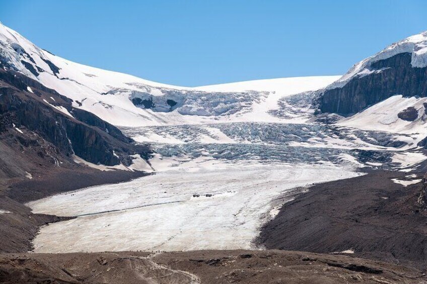 Majestic Icefield Journey: Day Excursion from Calgary
