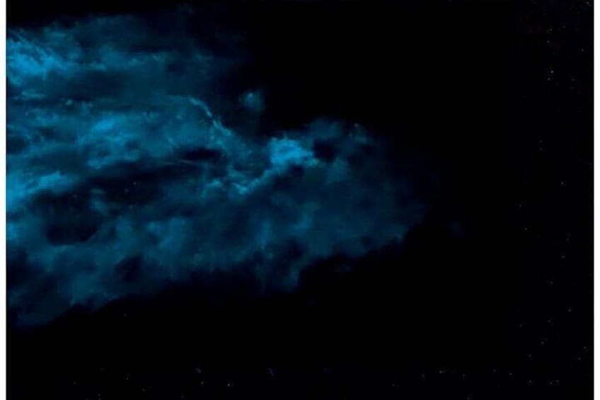 Bioluminescence