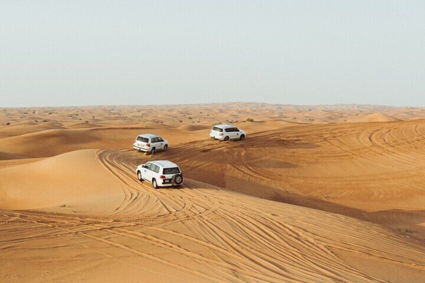 Half-Day Morning Desert Safari in Abu Dhabi