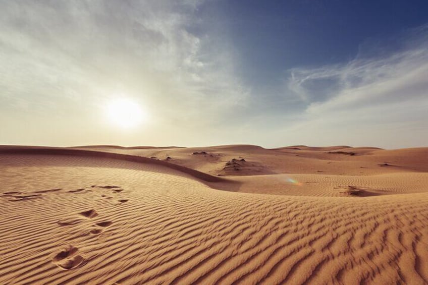Half-Day Morning Desert Safari in Abu Dhabi