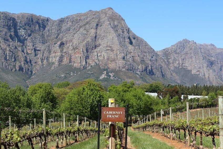 Private Wine Tour Cape Town with Local Guide, Tasting Fees Includ