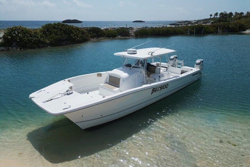 Full-Day Private Inshore Fishing Charter in Ceiba Puerto Rico