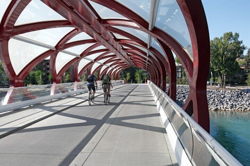 Pedal the Picturesque: Private Calgary & Bow River Bike Tour