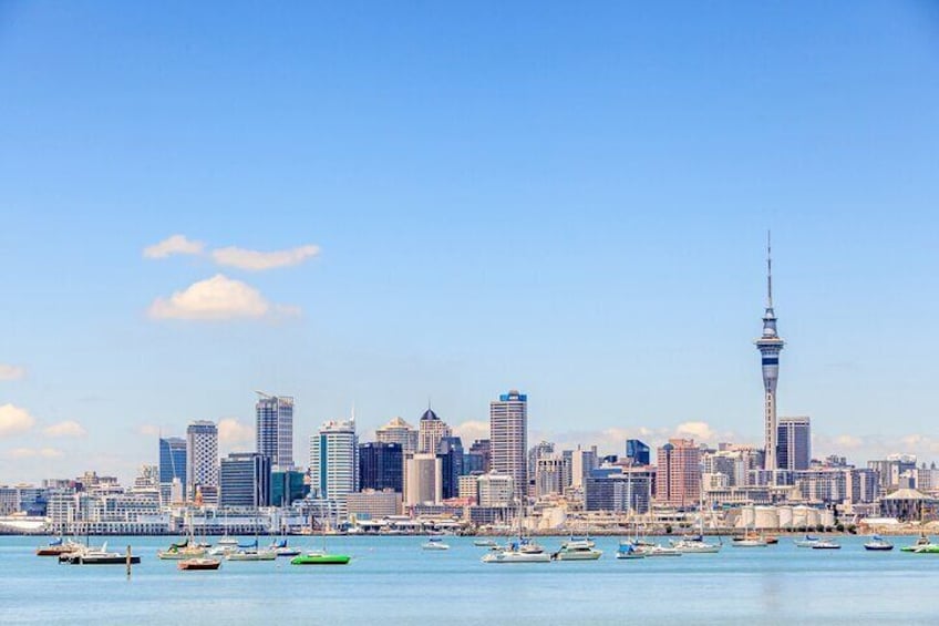Full Day Private Shore Tour in Auckland from Bay Of Islands Port