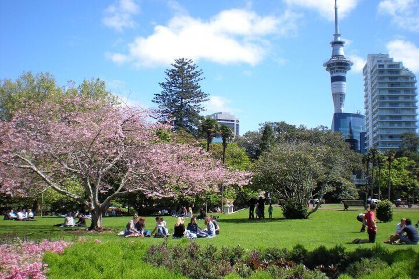 Full Day Private Shore Tour in Auckland from Bay Of Islands Port