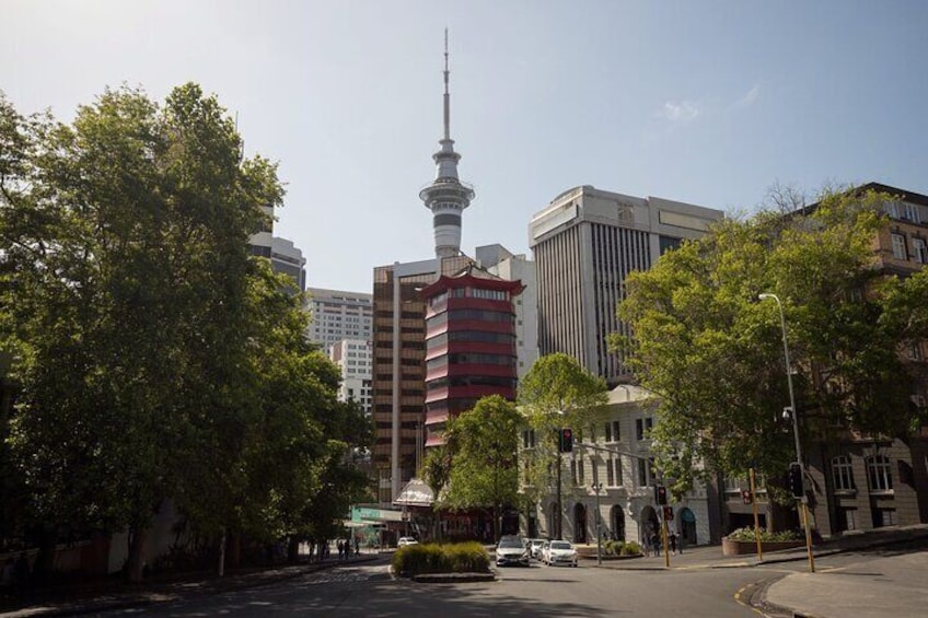 Full Day Private Shore Tour in Auckland from Bay Of Islands Port