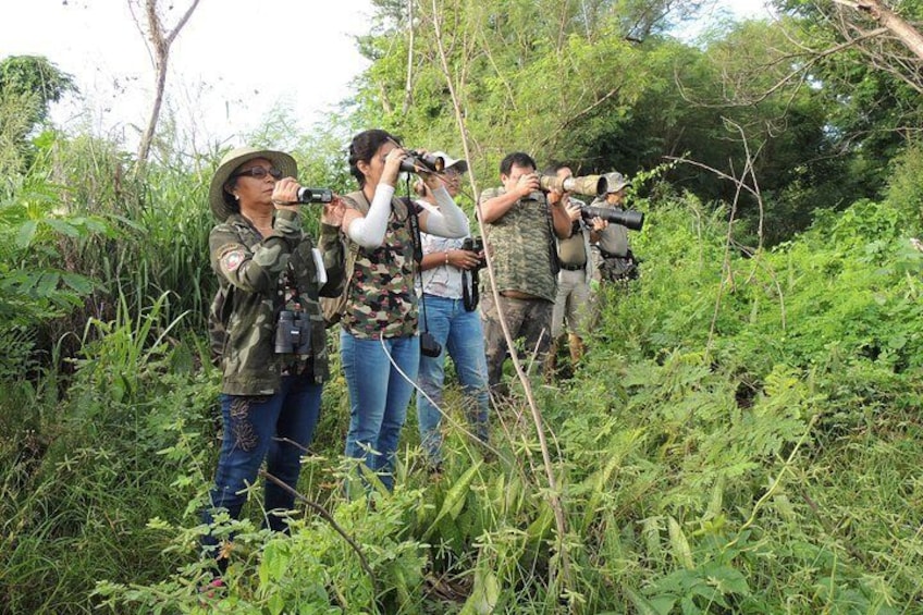 Birding in a Urban Park in Mérida.