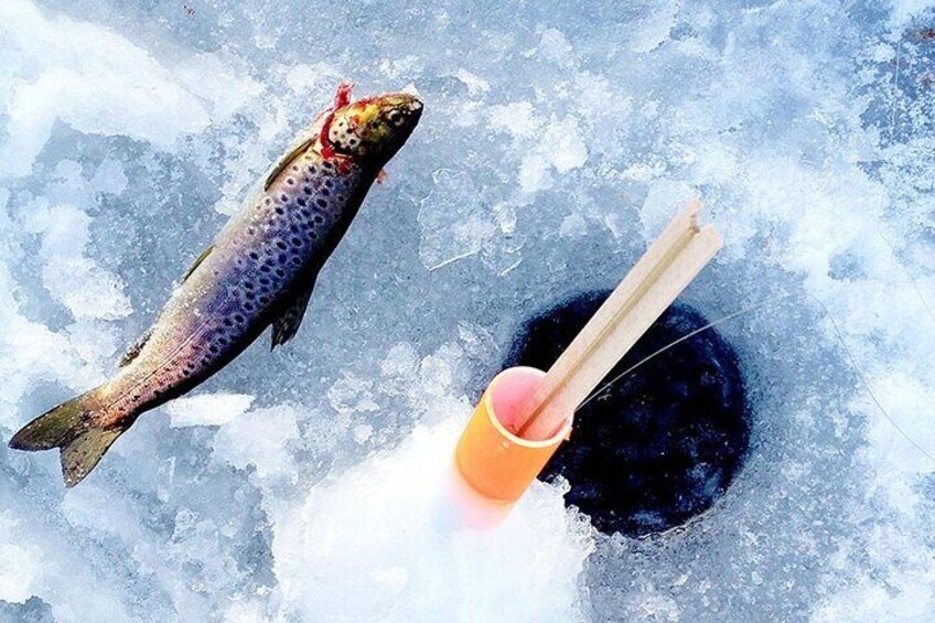 Half-day Ice Fishing Adventure in Lapland with Salmon Soup