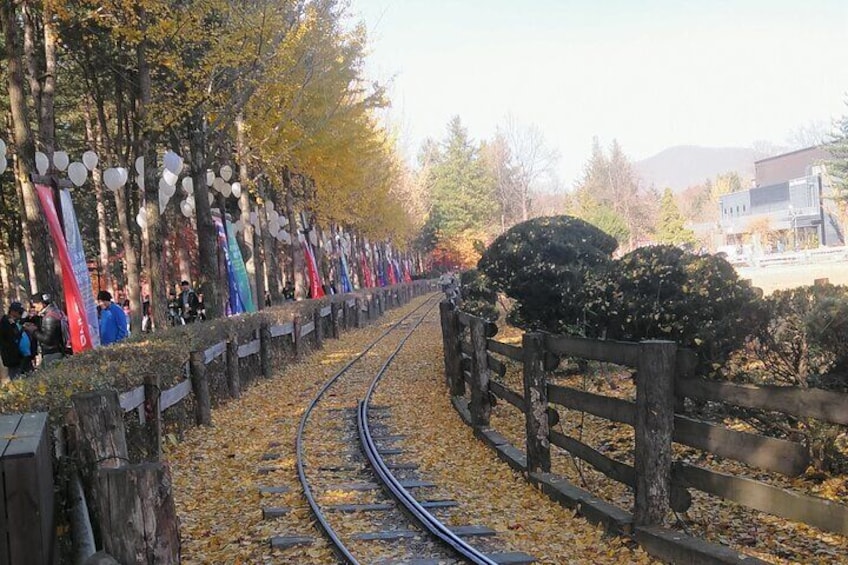 Private Nami island with Railbike/Morning calm/Petite France