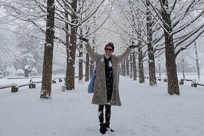 Customised Private Nami island with optional tour