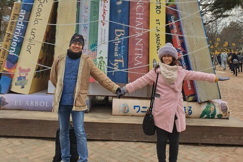 Private Nami island and Railbike Tour