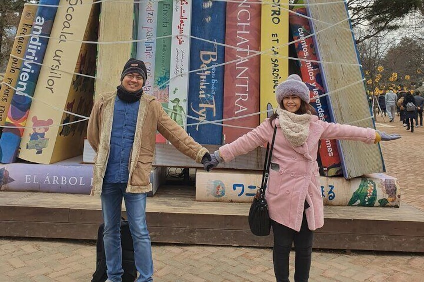 Private Nami island and Railbike Tour