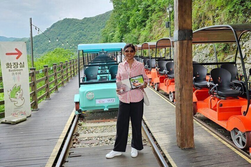 Private Nami island and Railbike Tour