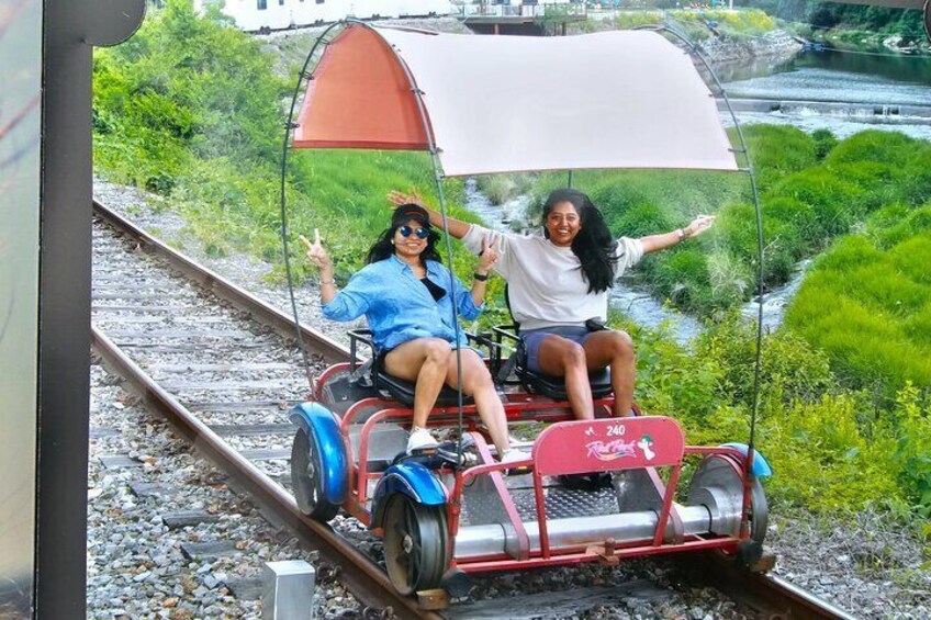 Private Nami island and Railbike Tour