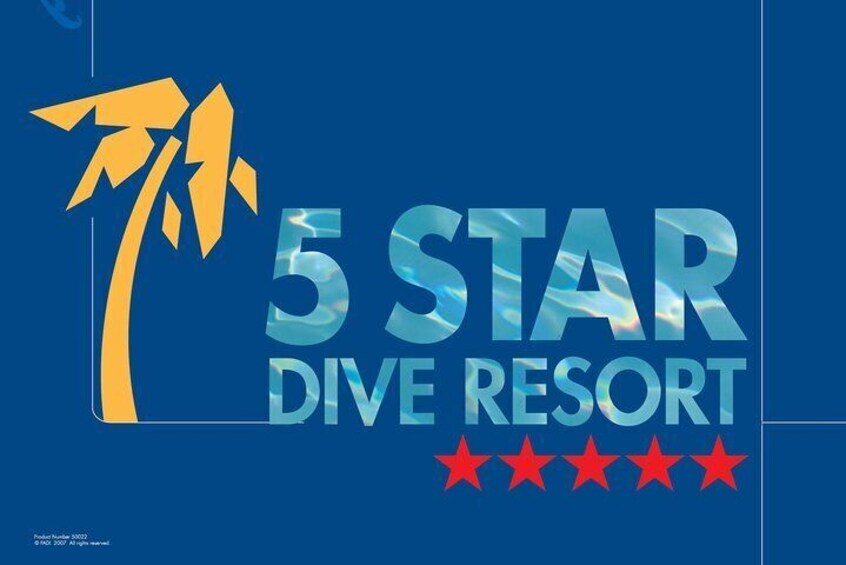 DiveGurus Basic Diver for Beginners