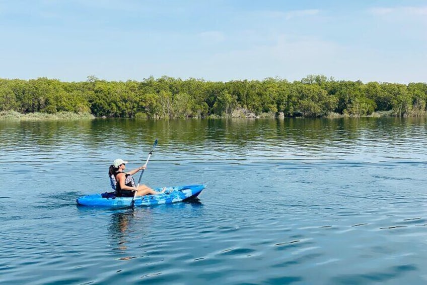 2 Hours Guided Mangrove Kayaking in Abu Dhabi