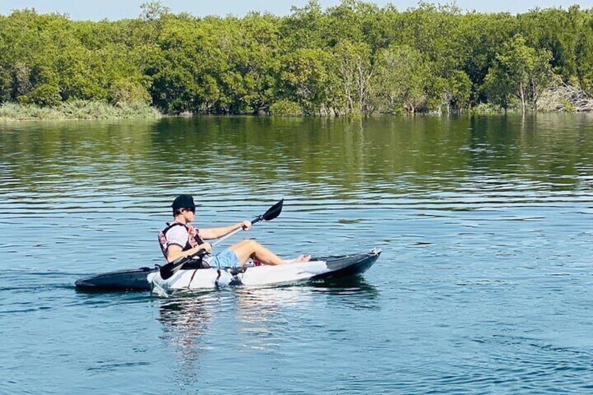 2 Hours Guided Mangrove Kayaking in Abu Dhabi