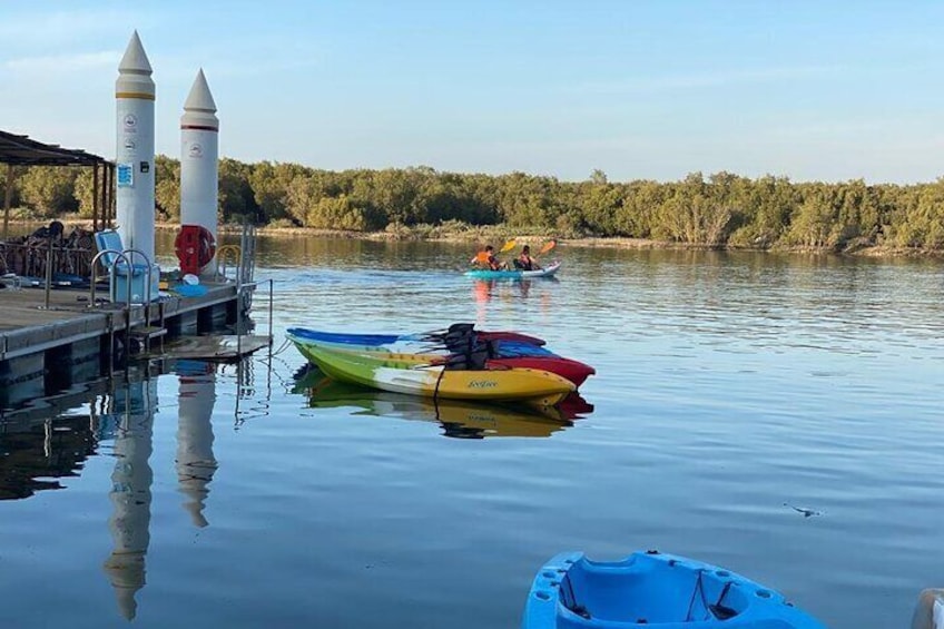 2 Hours Guided Mangrove Kayaking in Abu Dhabi