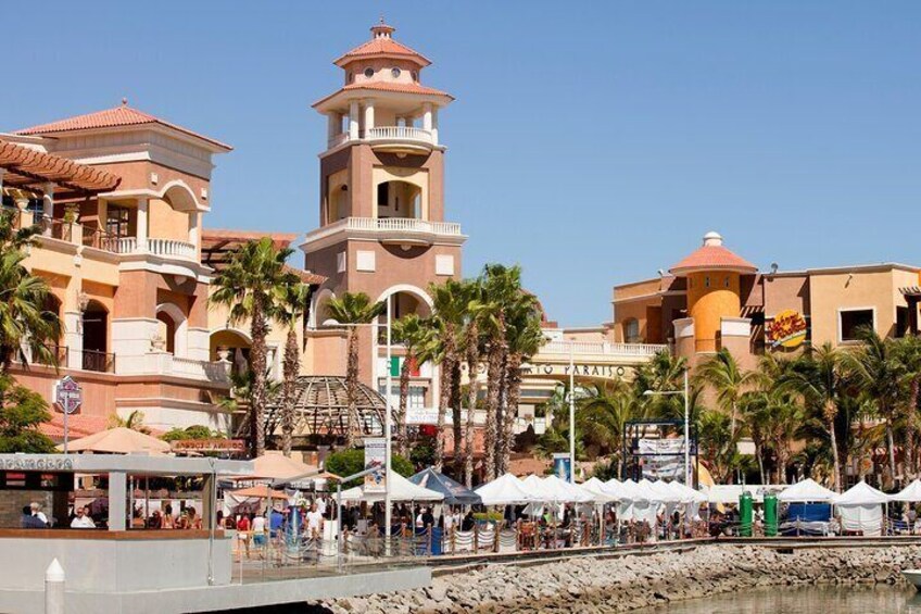 Full Day Private Shore Tour in Cabo San Lucas from Cabo San Port