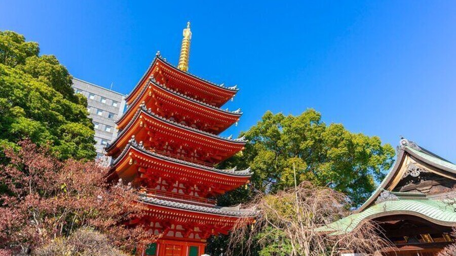 Full Day Private Shore Tour in Fukuoka from Sasebo Cruise Port
