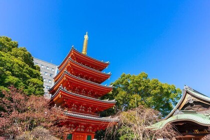 Full Day Private Shore Tour in Fukuoka from Sasebo Cruise Port