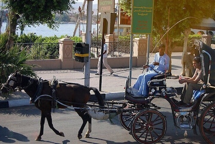 Private Horse Carriage Tour in Aswan City