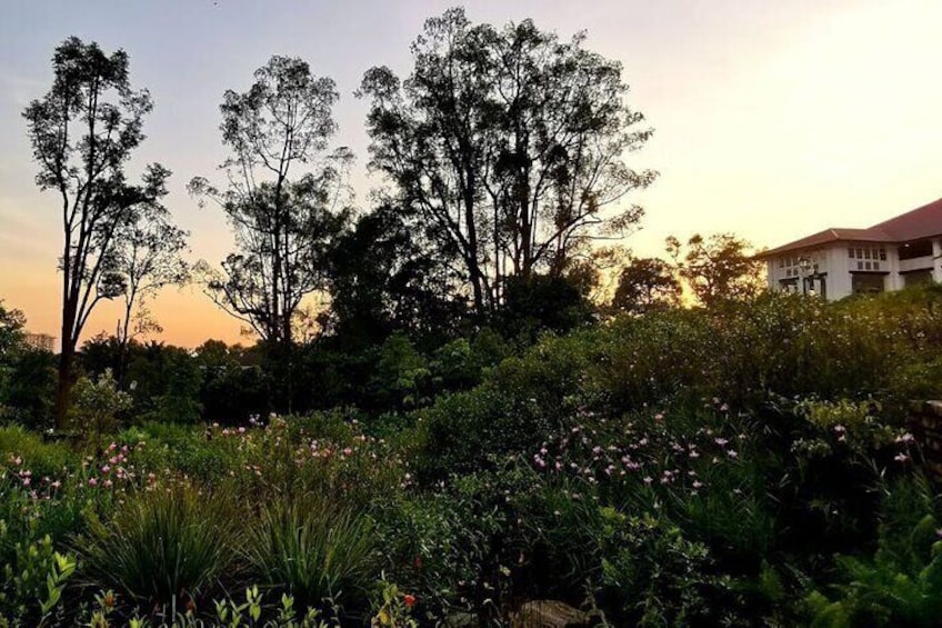 Sunrise at Inverturret, Singapore Botanic Gardens.