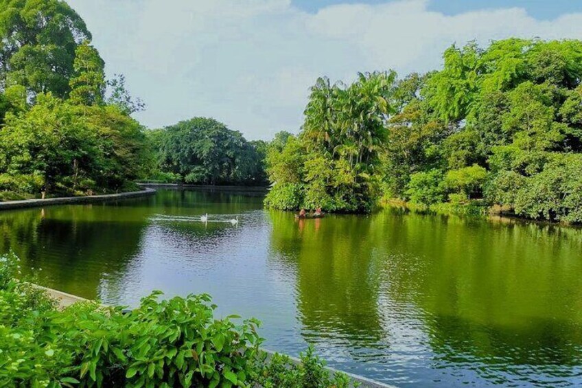 Swan Lake, oldest ornamental water feature in Singapore.