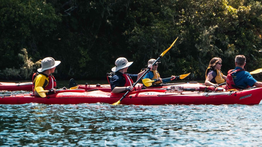 Picture 1 for Activity Tauranga: Scenic Lake Mclaren Kayak Tour