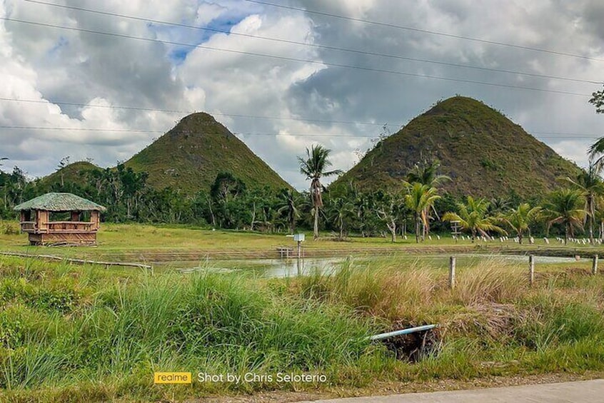 BOHOL Tour 2025 - Chocolate Hills, Tarsier and River Cruise Lunch