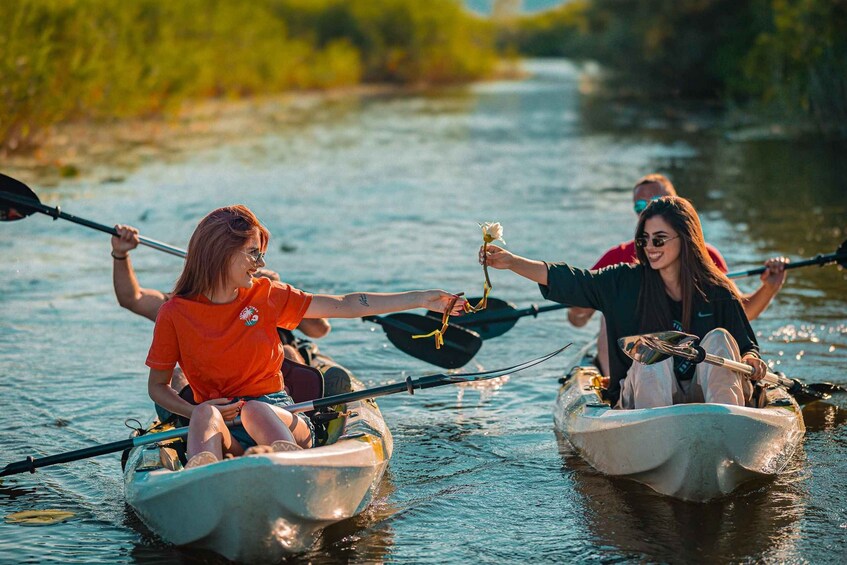 Skadar Lake: Self-Guided Bird Tour & Kayak Rental