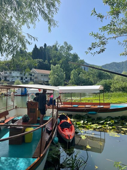 Picture 18 for Activity Skadar Lake: Self-Guided Bird Tour & Kayak Rental