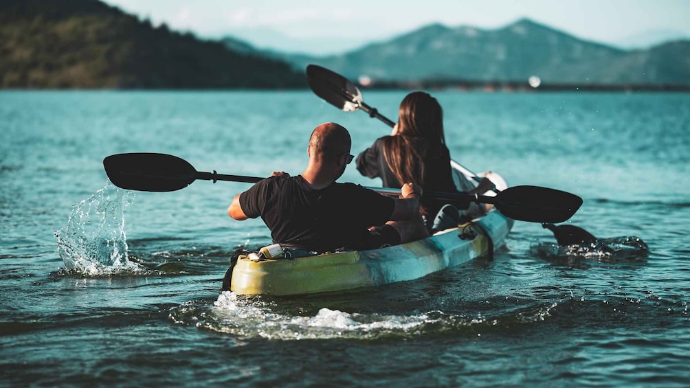 Picture 20 for Activity Skadar Lake: Self-Guided Bird Tour & Kayak Rental