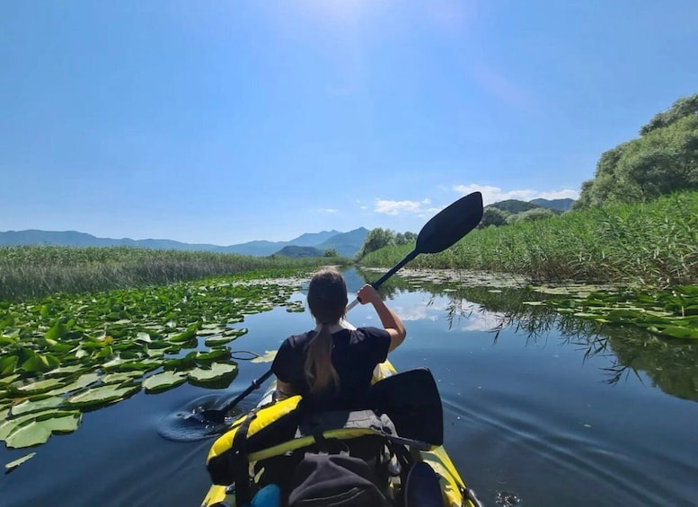 Picture 17 for Activity Skadar Lake: Self-Guided Bird Tour & Kayak Rental