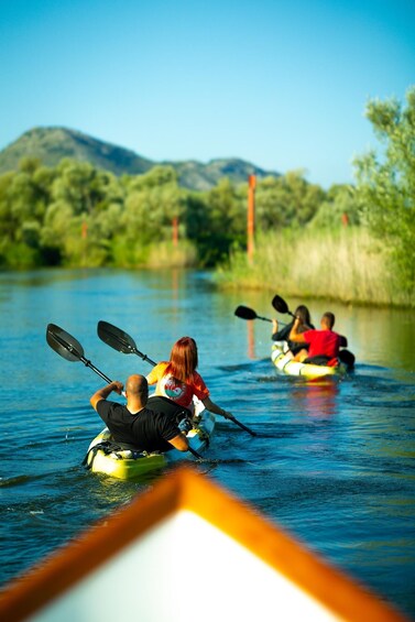 Picture 2 for Activity Skadar Lake: Self-Guided Bird Tour & Kayak Rental