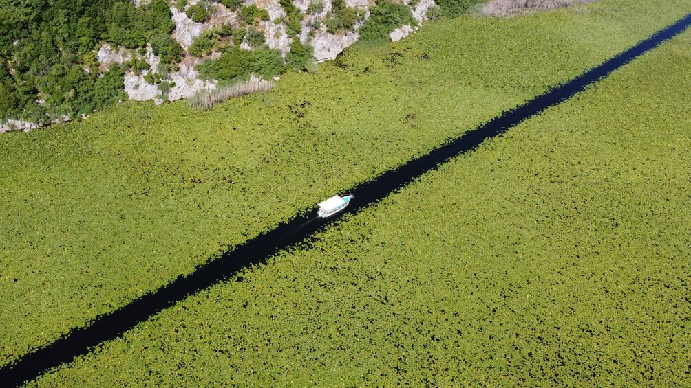 Picture 12 for Activity Skadar Lake: Self-Guided Bird Tour & Kayak Rental